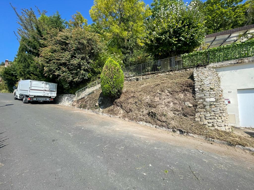 Nos réalisations à Paris  - France Elagage dans le 16ème arrondissement.