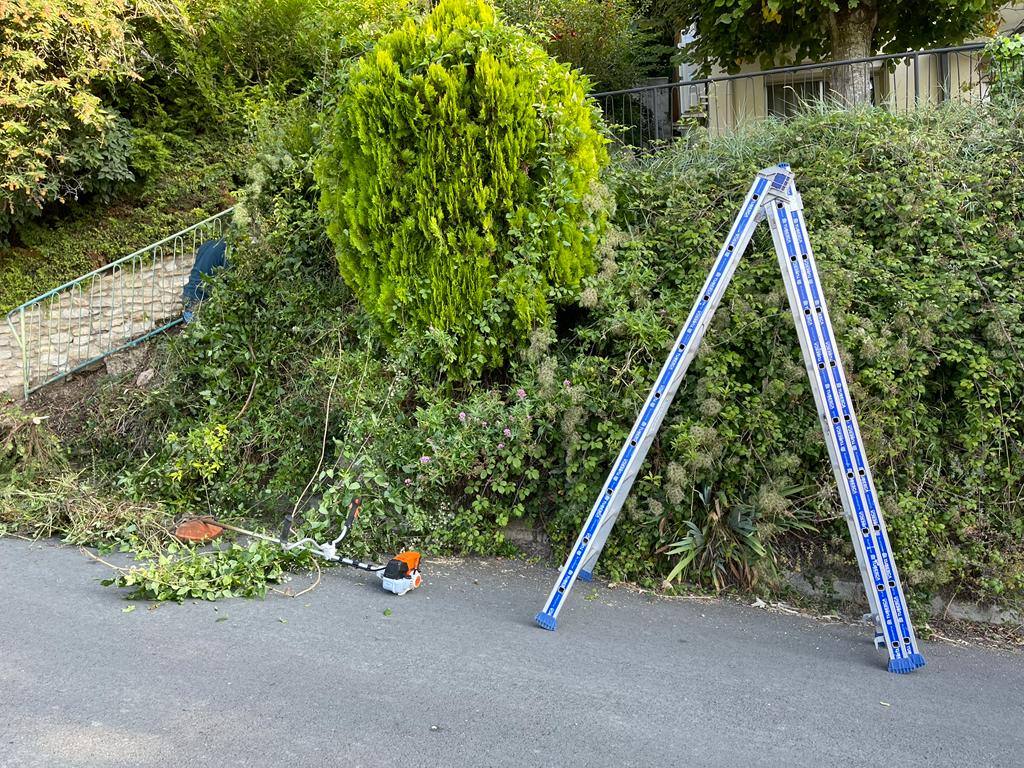 Nos réalisations à Paris  - France Elagage dans le 16ème arrondissement.