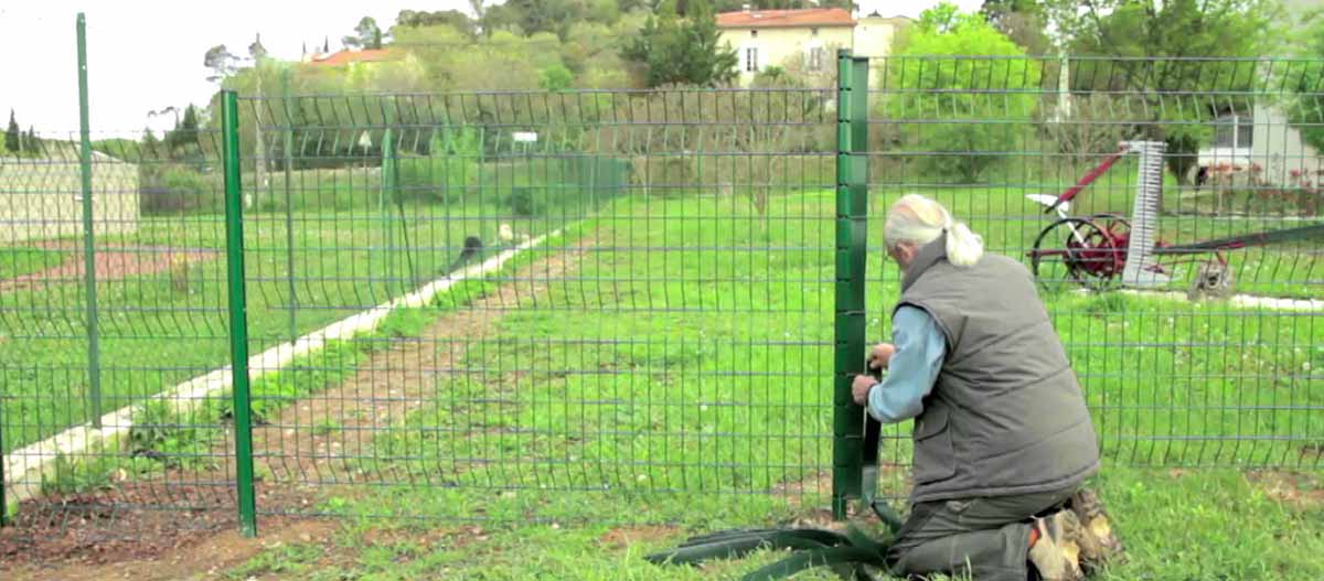 Paysagiste France Elagage à Paris : votre spécialiste en pose de clôture et grillage